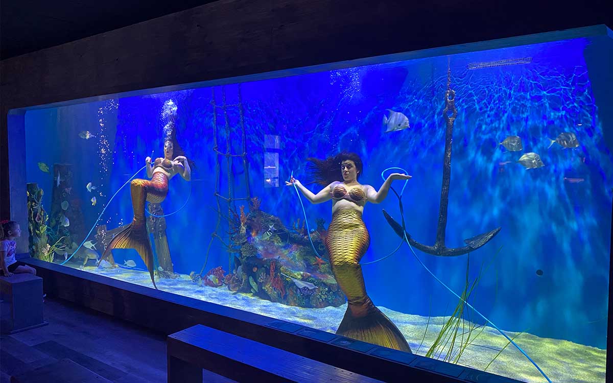 Live underwater mermaid performance at Mertailor's Mermaid Aquarium Encounter
