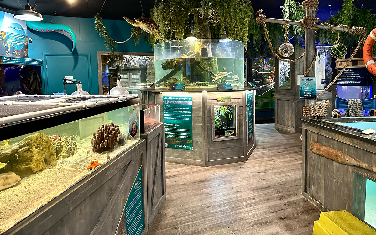 Planning an afternoon aquarium visit after exploring Crystal River