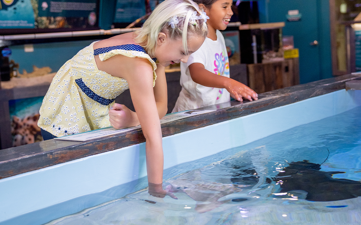 Planning a family itinerary around Crystal River Florida