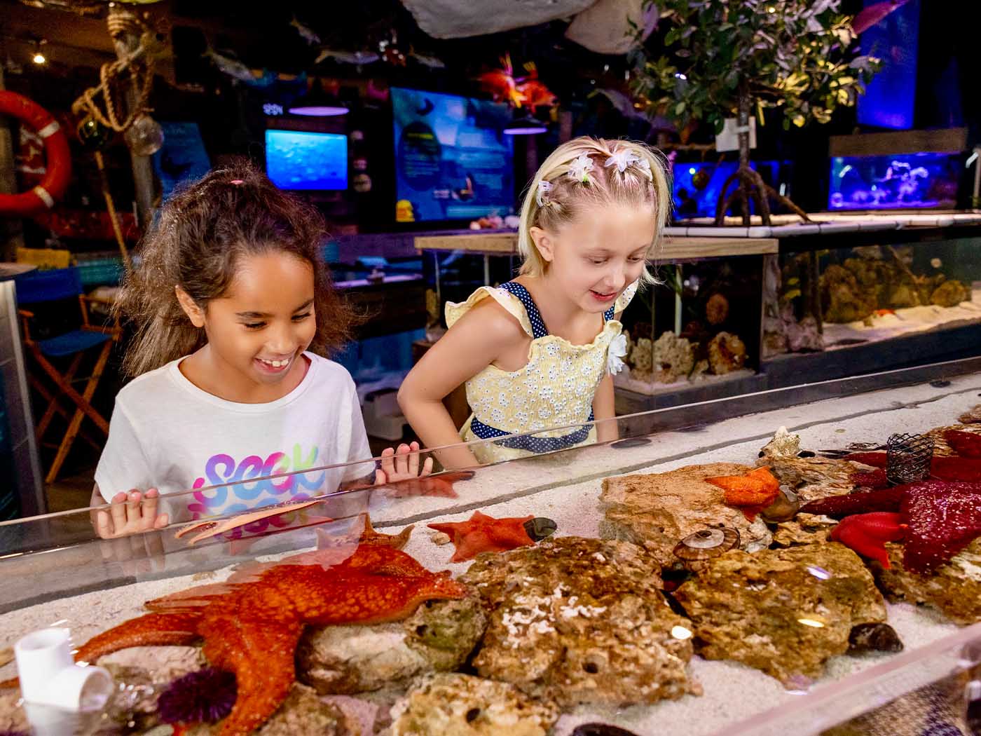 Indoor rainy day activity near Crystal River Florida