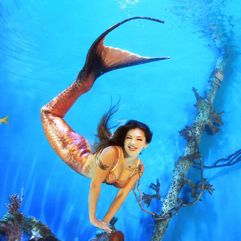 Indoor aquarium activity for rainy days near Crystal River