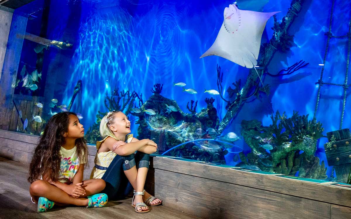 Family enjoying an indoor aquarium on a rainy day near Crystal River