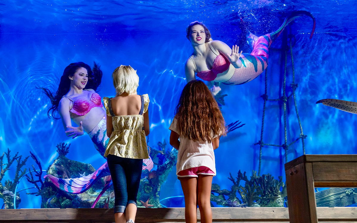Children visiting an indoor aquarium near Crystal River Florida