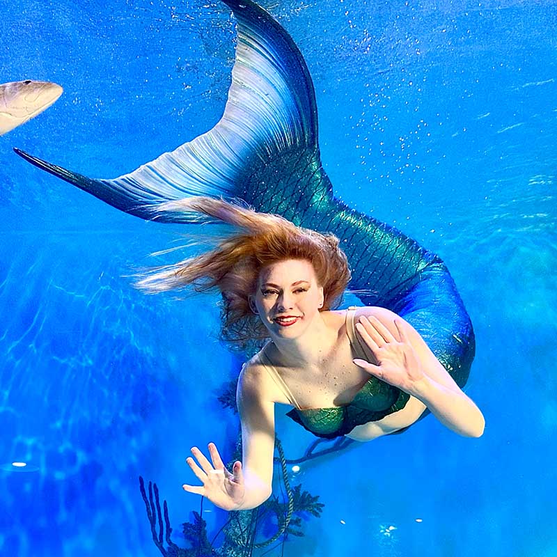 Live mermaid show during an indoor aquarium visit