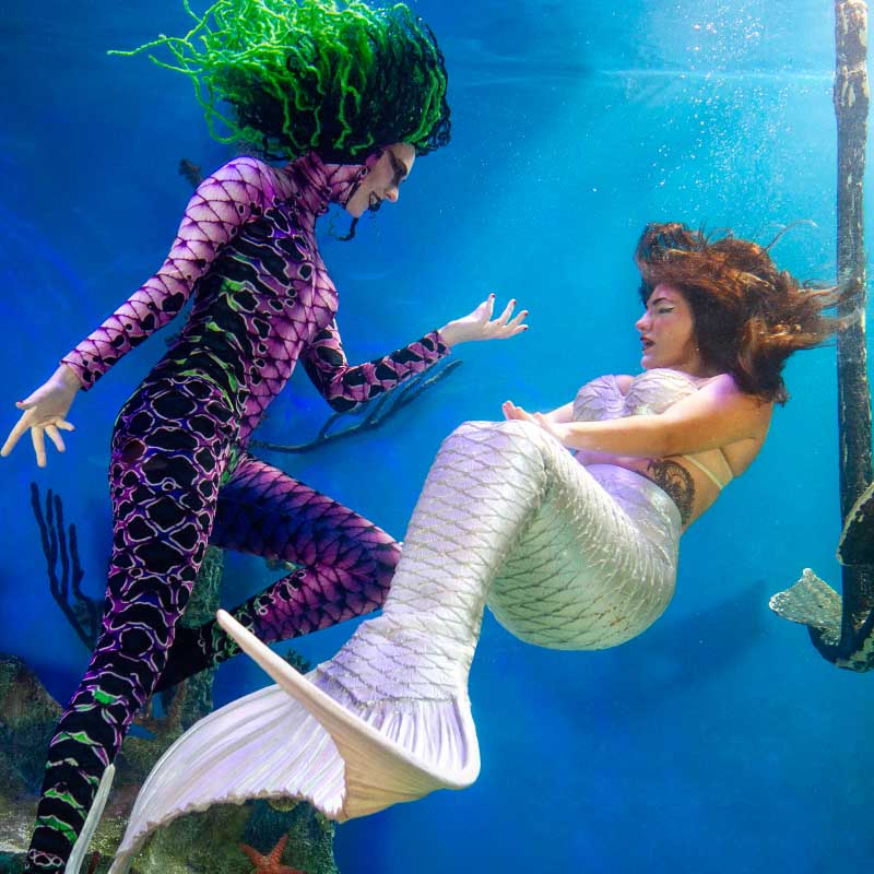 Underwater mermaid storytelling performance in Florida