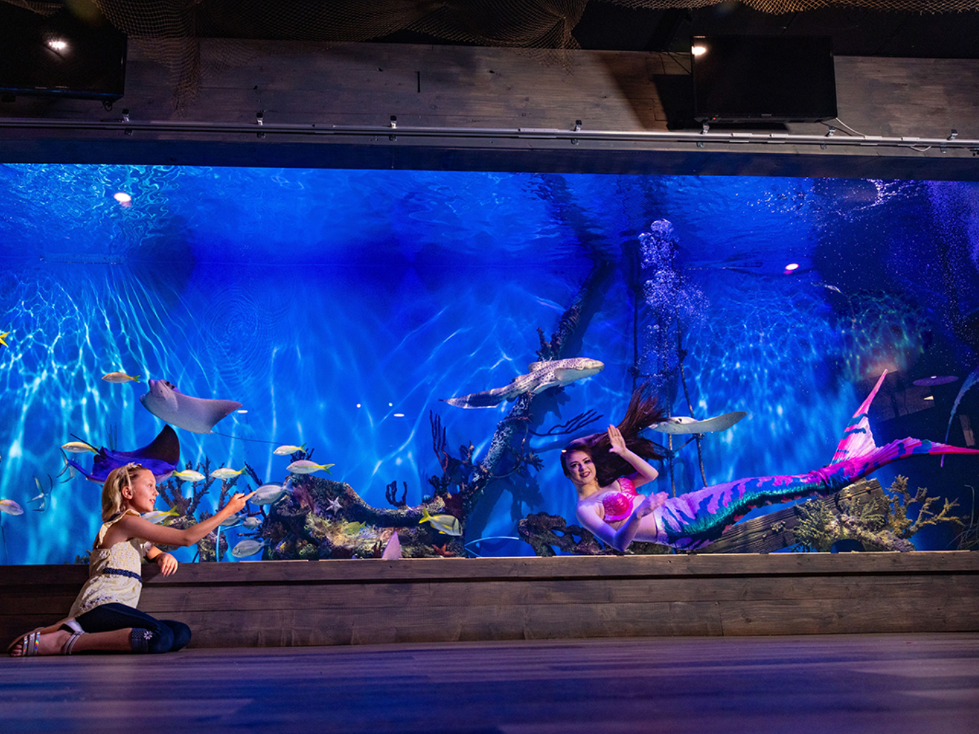 Unique family attraction near Crystal River Florida with live mermaids and marine animals