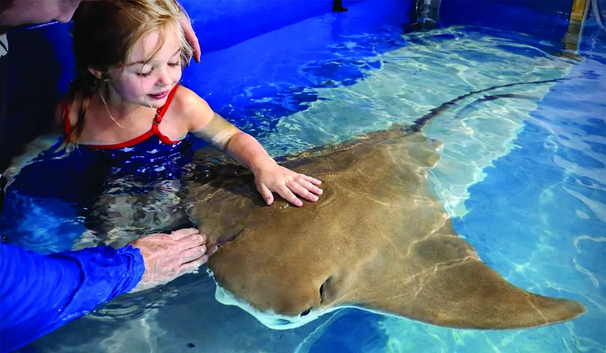 Guest participating in the in-water Stingray Encounter at Mertailor's Mermaid Aquarium Encounter
