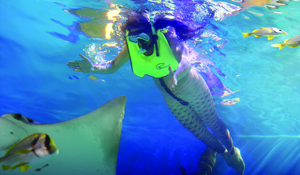 Participant snorkeling with tropical fish
