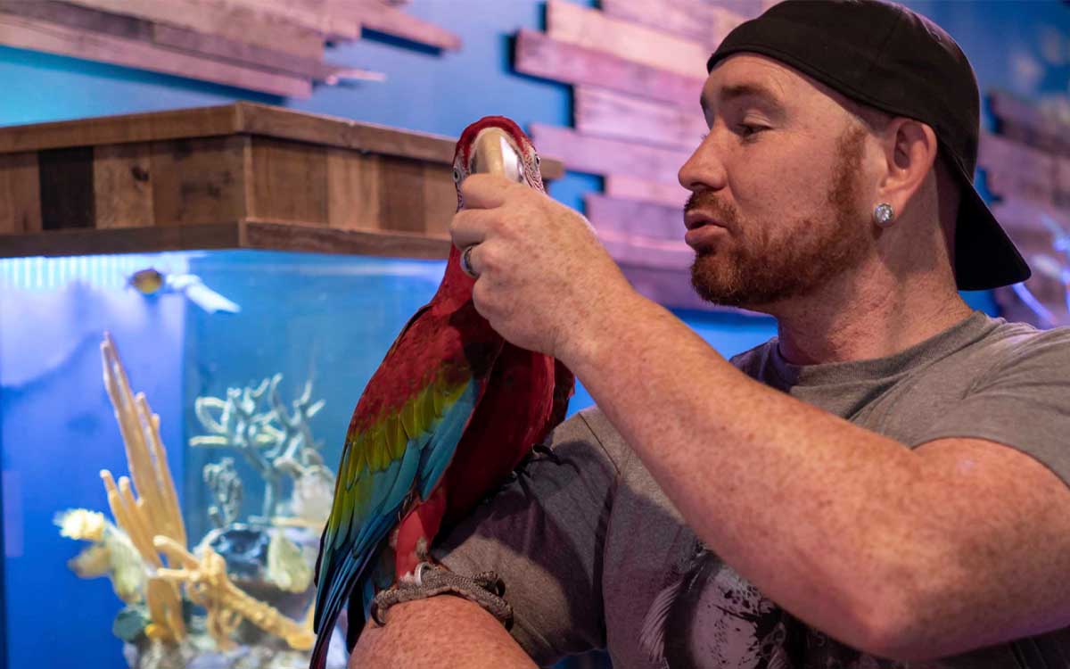 A rehomed bird with a member of the team at Mertailor's Mermaid Aquarium Encounter