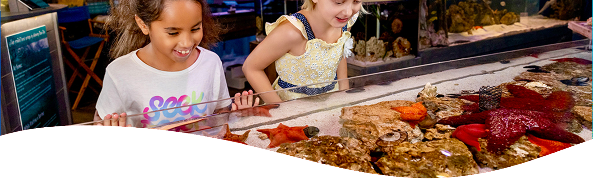 Field Trips at Mertailor's Mermaid Aquarium Hands On Education Marine Life Near Crystal River Florida Citrus County Schools