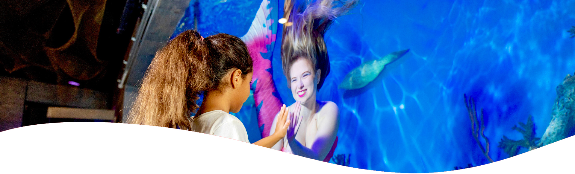 Mermaid Shows at Mertailor's Mermaid Aquarium Encounter Located in Crystal River Florida Magic!